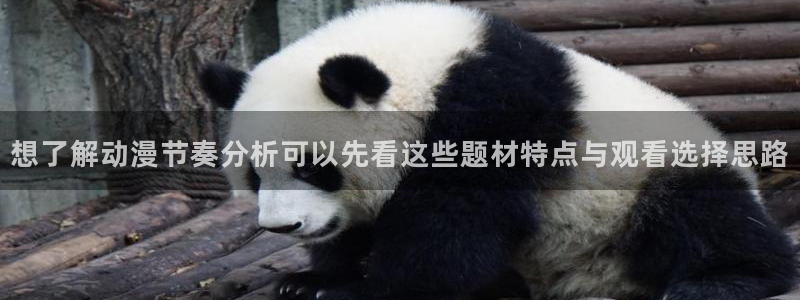 记得 香蕉成熟时粤语：想了解动漫节奏分析可以先看这些题材特点与观看选择思路配图