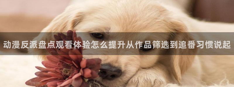 香蕉成熟时迅雷:动漫反派盘点观看体验怎么提升从作品筛选到追番习惯说起配图