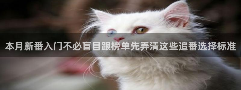 记得香蕉成熟时1:本月新番入门不必盲目跟榜单先弄清这些追番选择标准配图