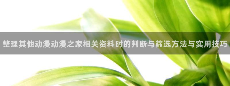 记得香蕉成熟时 电影:整理其他动漫动漫之家相关资料时的判断与筛选方法与实用技巧配图