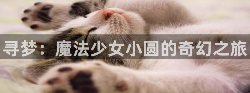 香蕉成熟时百度云:寻梦:魔法少女小圆的奇幻之旅配图