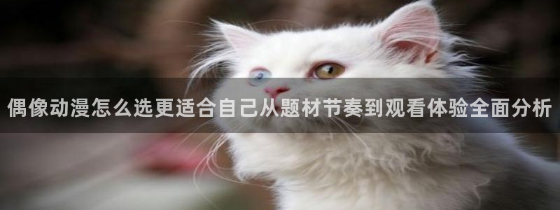 记得香蕉成熟时国语:偶像动漫怎么选更适合自己从题材节奏到观看体验全面分析配图